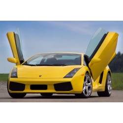 LSD Doors για Lamborghini Gallardo Coupé